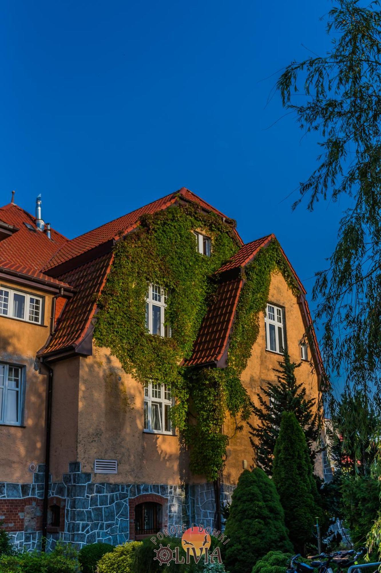 Domki Olivia Darlowko Exterior foto